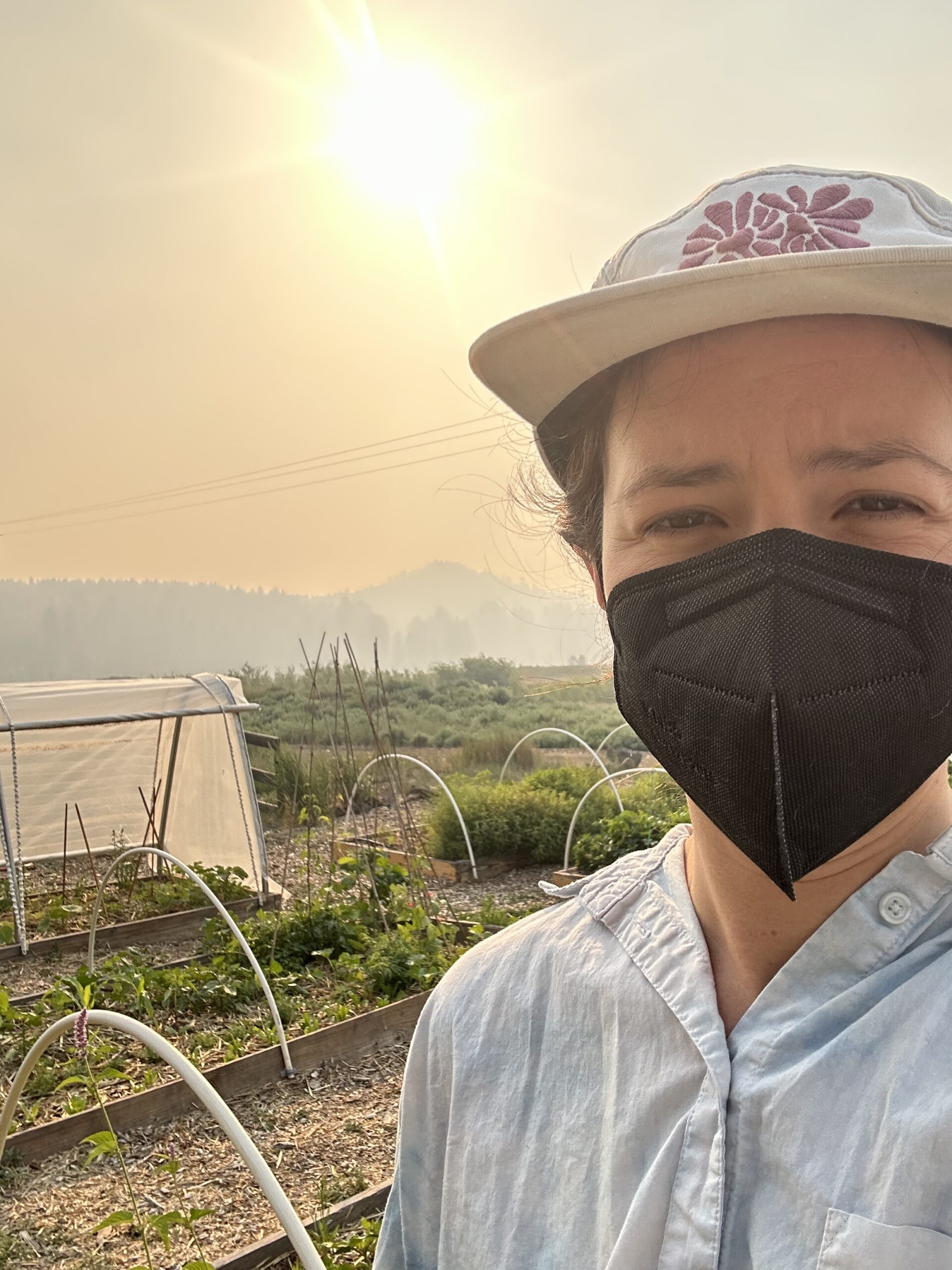 Gina wearing an N95 mask as she gardens among the smoke from the Pocket Fire