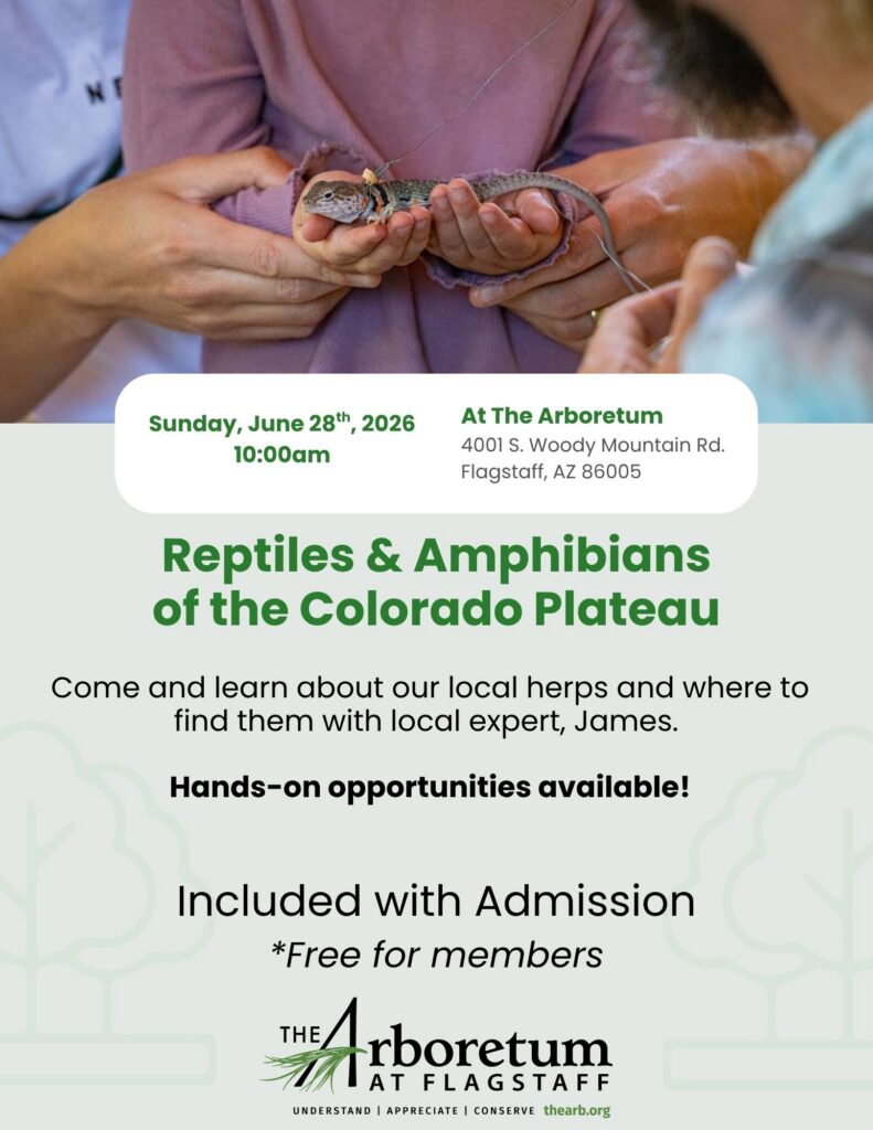 Reptiles and Amphibians of the Colorado Plateau