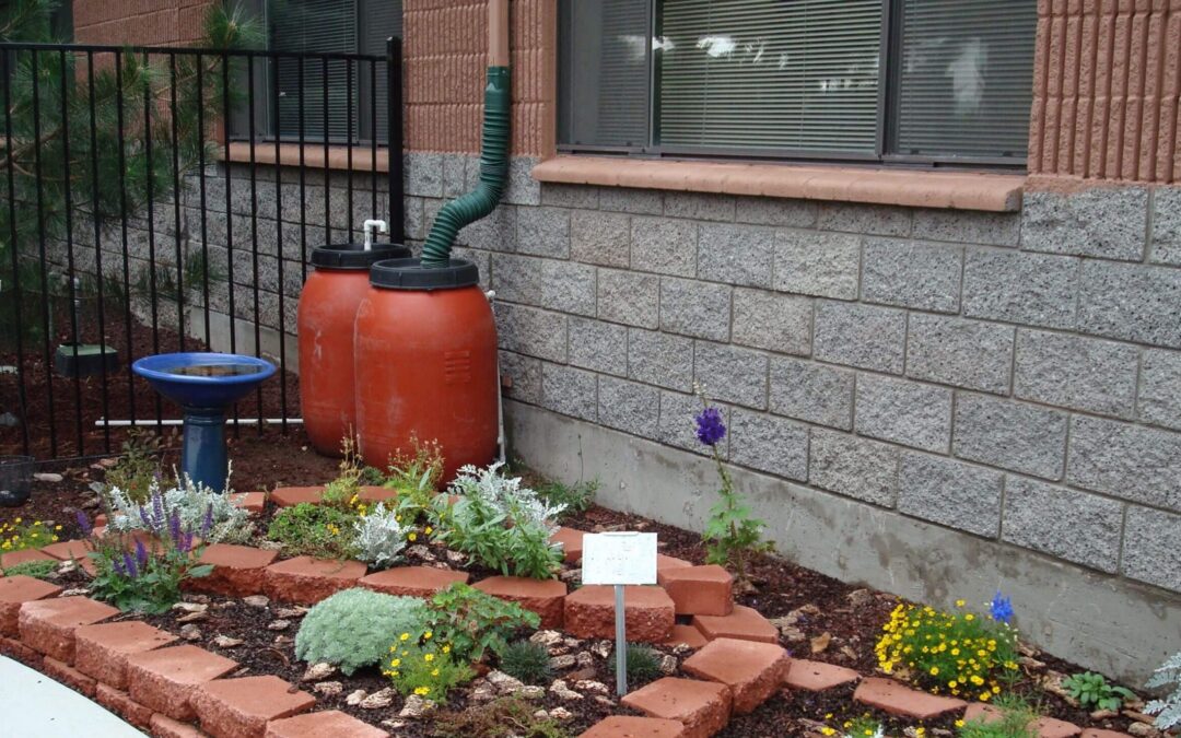 Rainwater Harvesting Workshop