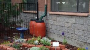 Rainwater Harvesting
