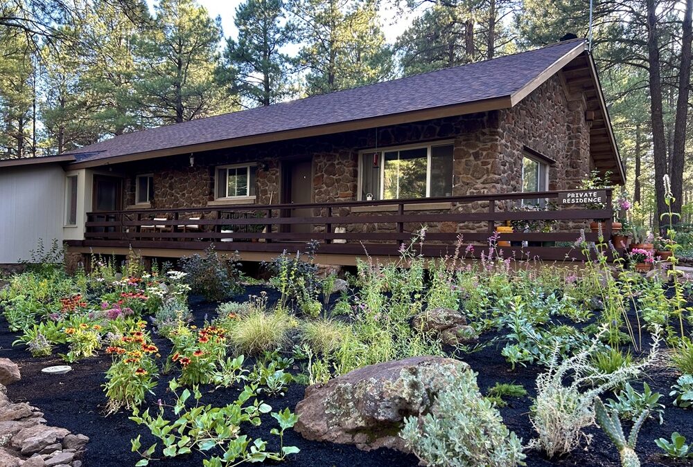 Designing and Installing a Fire- and Water-Wise Garden at The Arb