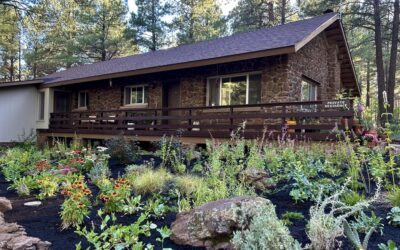 Designing and Installing a Fire- and Water-Wise Garden at The Arb