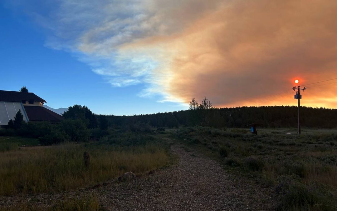 Field Trips at the Arboretum: Learning to Live with Fire
