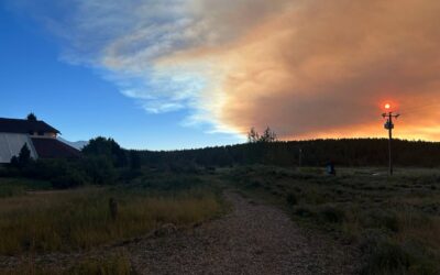 Field Trips at the Arboretum: Learning to Live with Fire