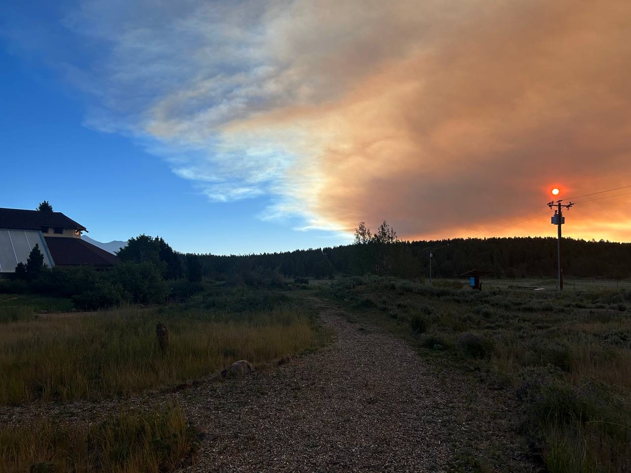 Field Trips at the Arboretum: Learning to Live with Fire